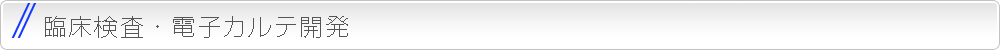 臨床検査・電子カルテ開発
