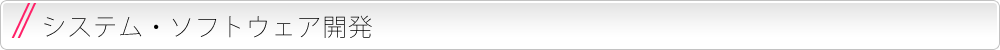 システム・ソフトウェア開発